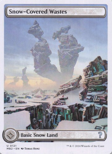 Rifiuti innevati bordo - rifiuti, (bordo