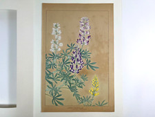 Xilografia Giapponese "LUPINUS