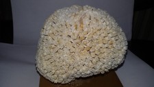 Conchiglia Shell MADREPORA MARINA NATURALE mm 115 x123 Baratti (LI) Mar Tirreno 