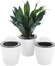 Confezione Da 3 Vasi Sospesi