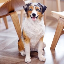 Statuina cucciolo decorativo