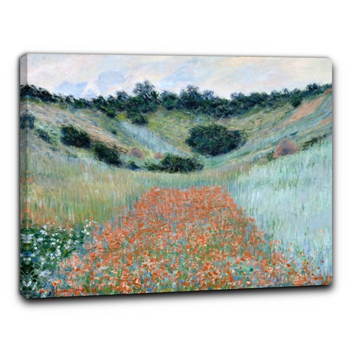 Niik quadro campo papaveri - quadro, di