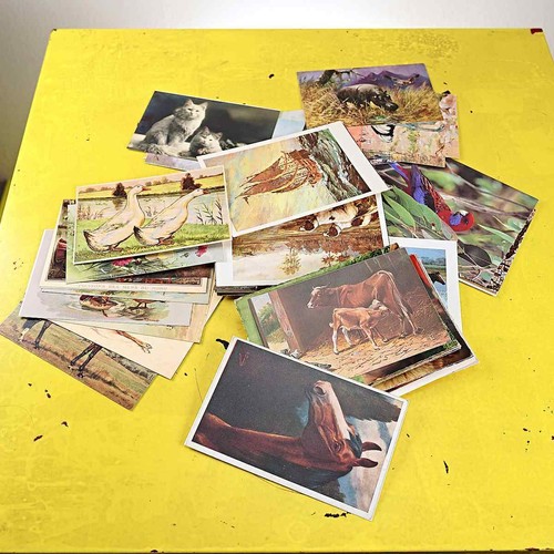 Lotto cartoline vintage - cartoline,