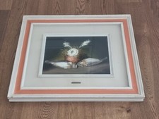 Quadro natura morta ad olio firmato Nino Parola Cuneo 1922-1999 formato 30 x 40