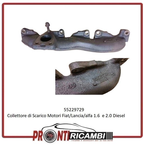 55229729 collettore di - -,