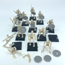 Skeleton Warriros - Non morti