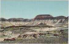 G467 LONGEST LOG IN THE THIRD