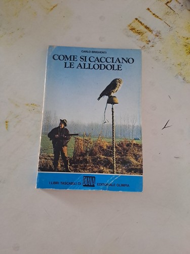 Come cacciano allodole - si,