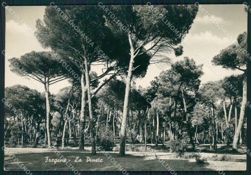 Roma fiumicino fregene - roma,