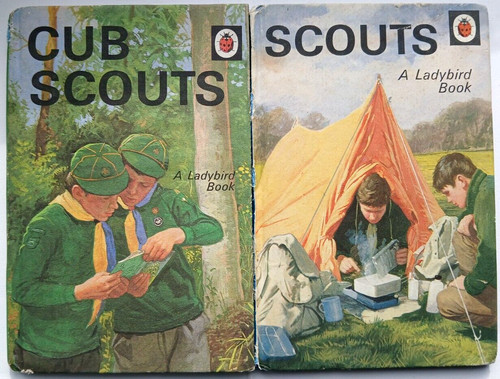 Ladybird cub scouts - cub, &