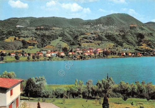 Cartolina spinone lago - cartolina,