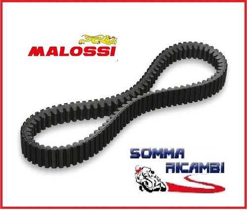 Cinghia malossi 6118071 - cinghia,