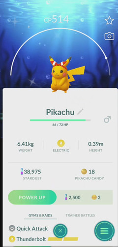Pokemon shiny may bow - may's,