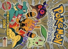 Figurine - Album - Pokemon