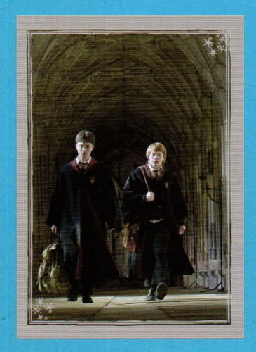 Harry potter principe - potter, e