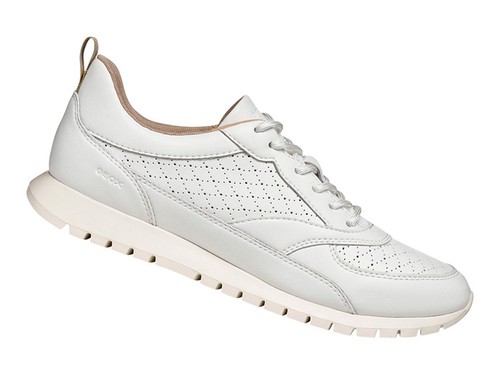 Geox scarpe sneakers basse - geox,
