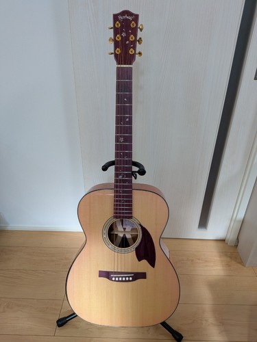 Chitarra acustica headway - chitarra,