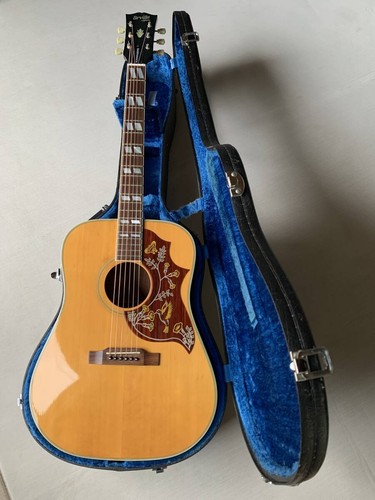 Chitarra acustica orville - chitarra,