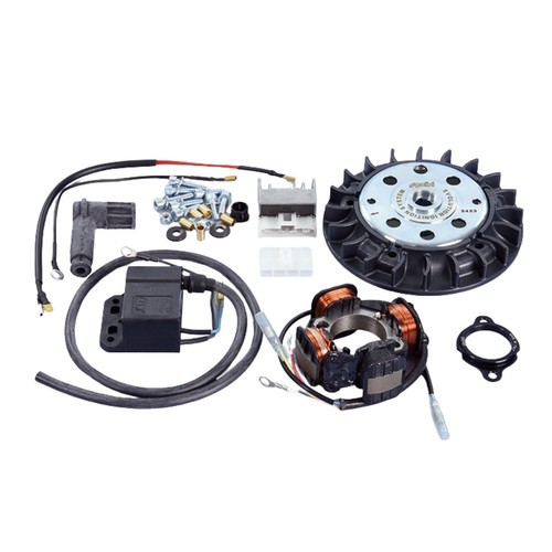 Accensione elettronica polini - elettronica,