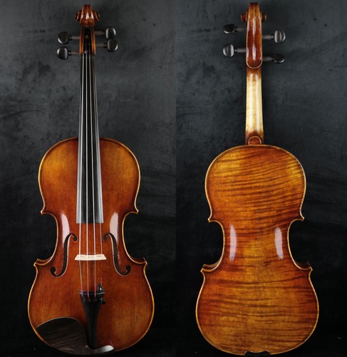 Nice master violino fatto - nice,