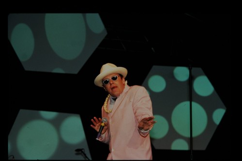 Madness fotografie - madness,