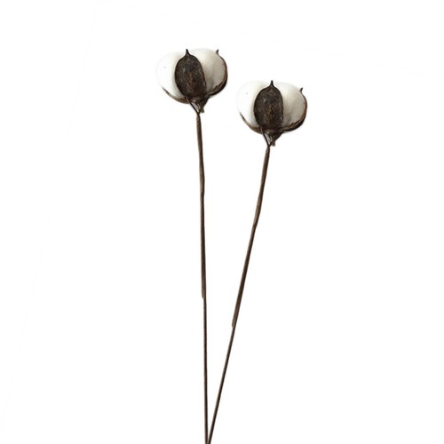 Steli finto cotone piccoli - steli,