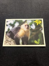 Noi Animali L’unione Fa La