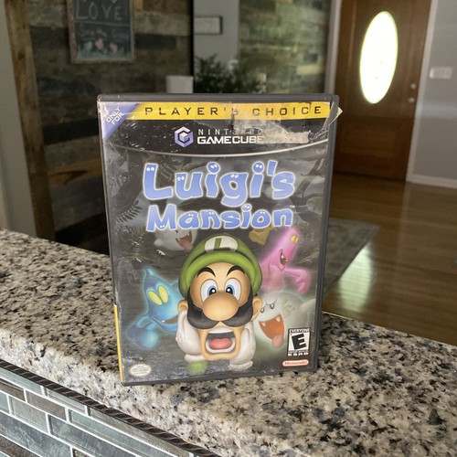 Luigi mansion nintendo - luigi's,