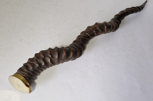 Vintage antilope corno - vintage, fiuto