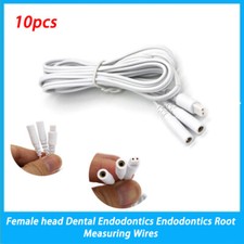 10pztesta femminile endodonzia - 10pztesta,