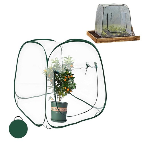 Serra per ortaggi fiori frutta - ortaggi,