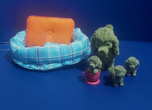 Puppy pocket poodle - in,