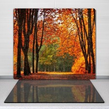 Coperchio Piano Cottura Vetro