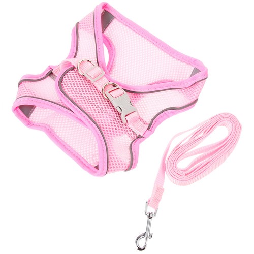 Set pettorina guinzaglio cane - set,