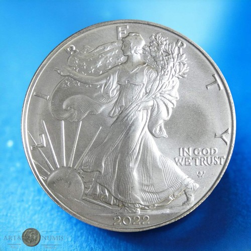 Usa dollaro silver eagle - usa, 1