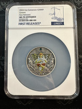 2024 Camerun Quattro