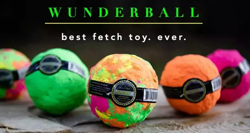 Wunderball best dog - best, fetch