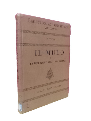 Tucci mulo e la - -,