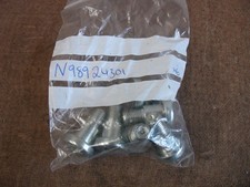 N98924301 Set bulloni testa