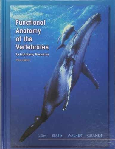 Functional anatomy - functional,
