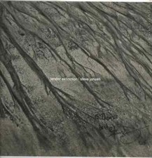 2xLP Steve Jansen Tender