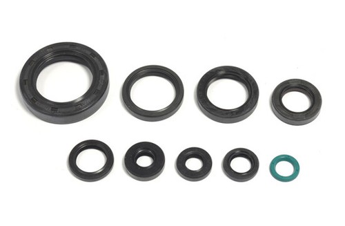 Kit paraoli motore - kit,