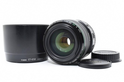 Canon 300 5 - canon, ef