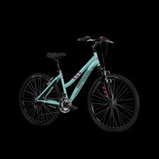 BICI PANAREA 100 AGEVOLE 26