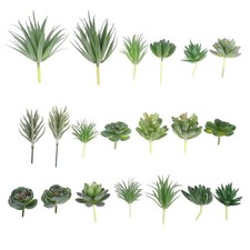  20 Pcs Piccole Piante