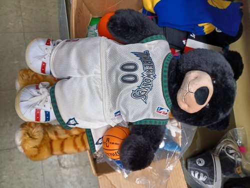 Minnesota timberwolves nba - timberwolves,