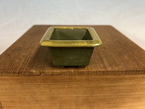 Sconosciuto vaso per bonsai - , di