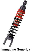 MONO posteriore 1 reg