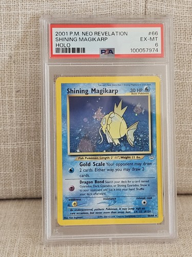 Pokemon neo revelation - pokemon,