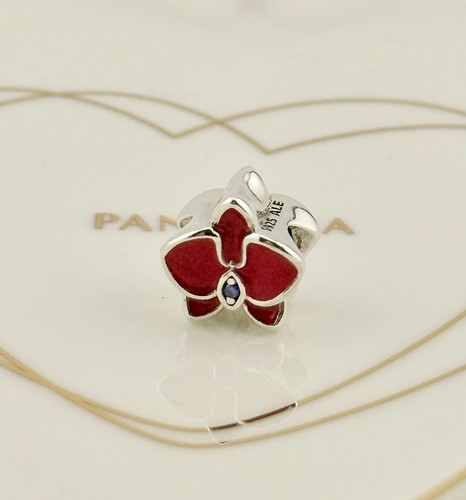 Nuovo charm 100 - nuovo,